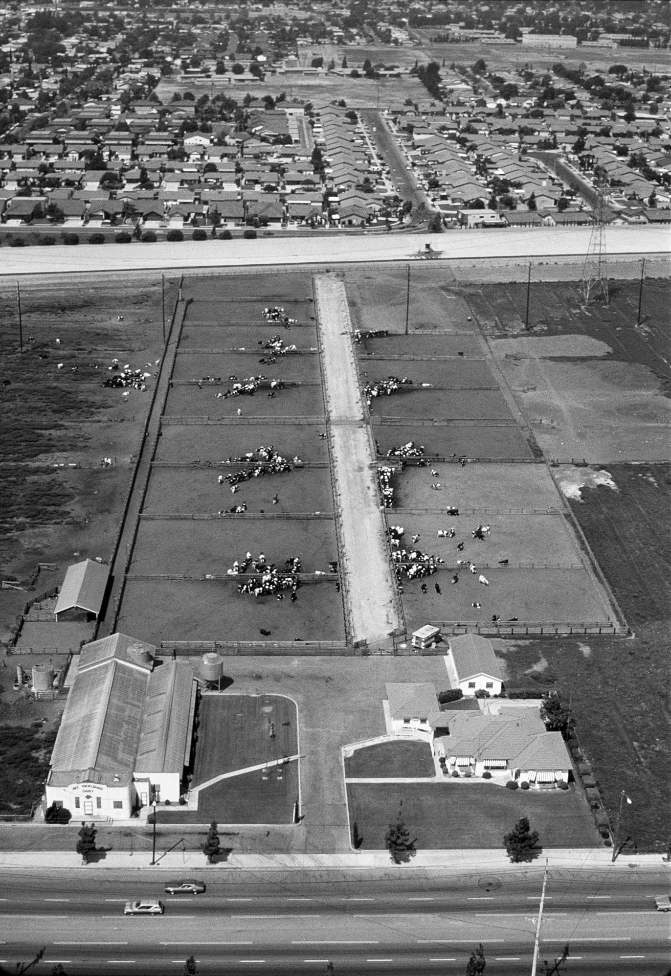 Image of dairy land with Studebaker Road in the foreground, between South and 183rd streets.